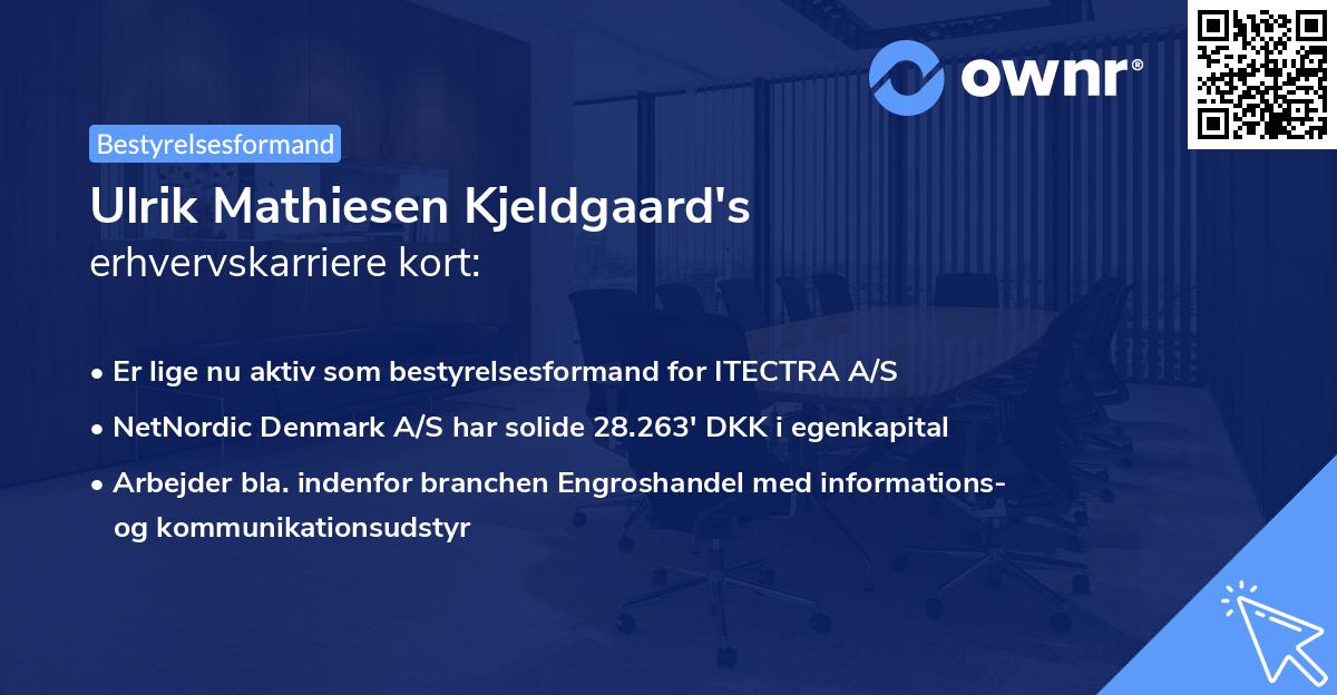 Ulrik Mathiesen Kjeldgaard's erhvervskarriere kort