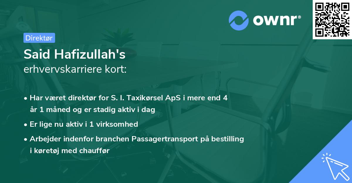 Said Hafizullah's erhvervskarriere kort