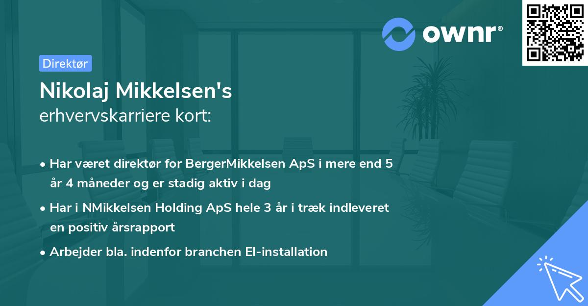 Nikolaj Mikkelsen's erhvervskarriere kort