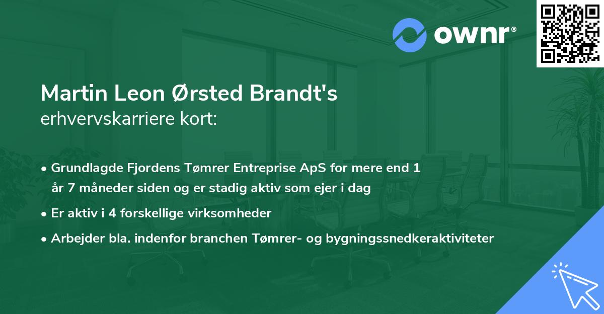 Martin Leon Ørsted Brandt's erhvervskarriere kort