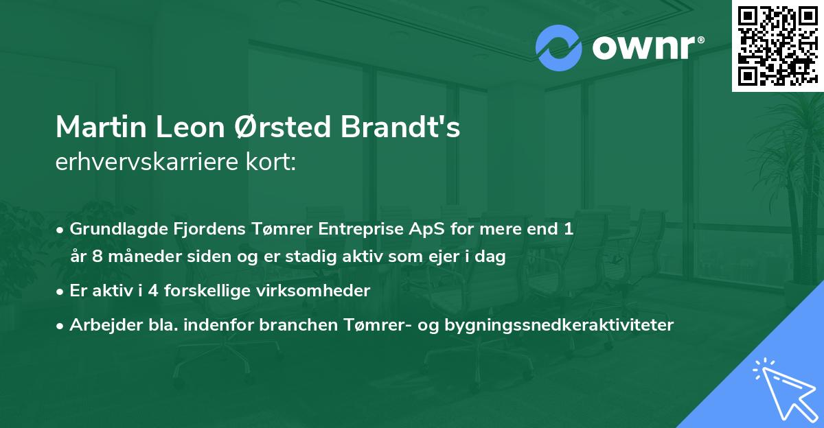 Martin Leon Ørsted Brandt's erhvervskarriere kort