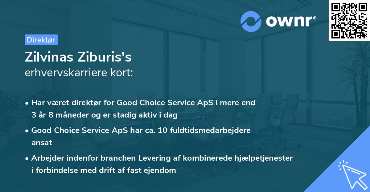 Zilvinas Ziburis's erhvervskarriere kort