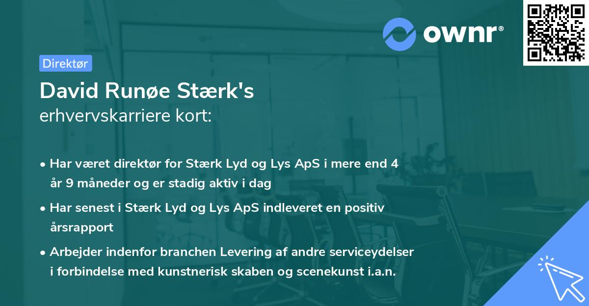 David Runøe Stærk's erhvervskarriere kort