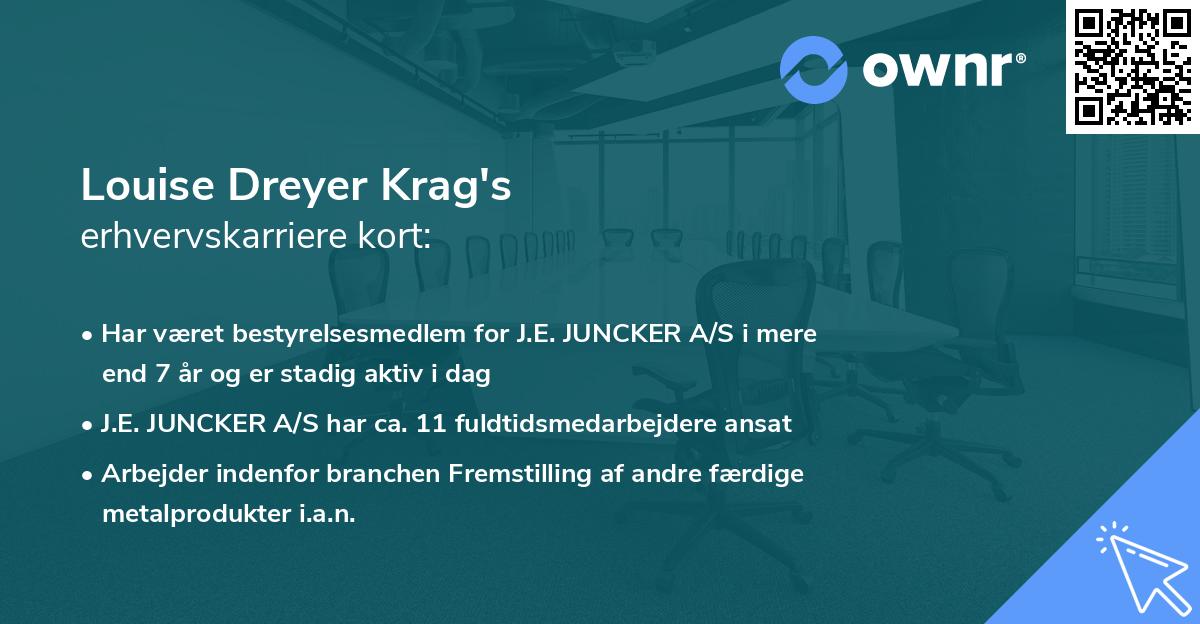 Louise Dreyer Krag's erhvervskarriere kort