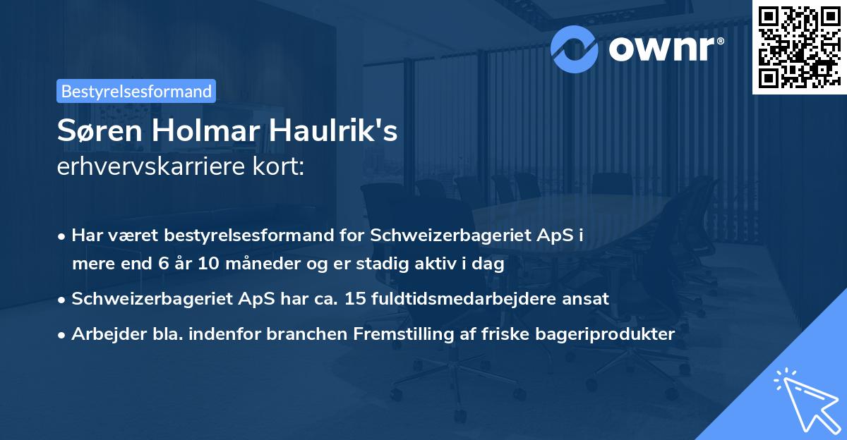 Søren Holmar Haulrik's erhvervskarriere kort