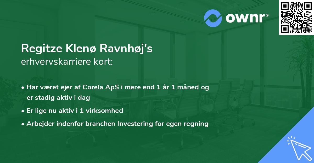 Regitze Klenø Ravnhøj's erhvervskarriere kort