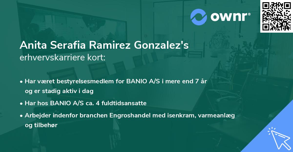 Anita Serafia Ramirez Gonzalez's erhvervskarriere kort