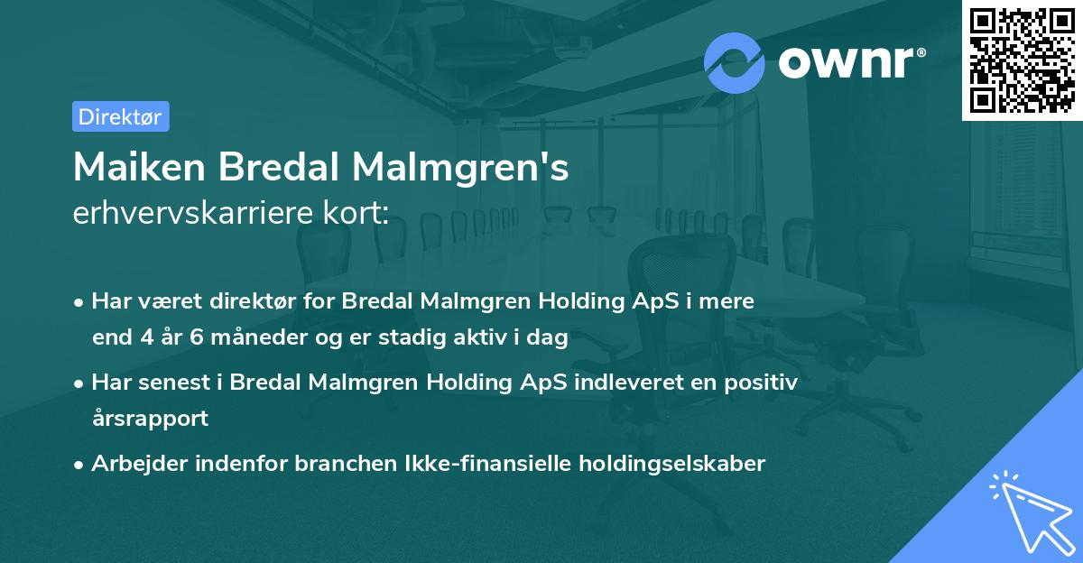 Maiken Bredal Malmgren's erhvervskarriere kort