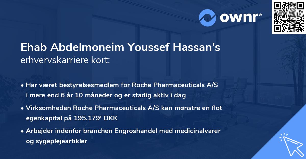 Ehab Abdelmoneim Youssef Hassan's erhvervskarriere kort