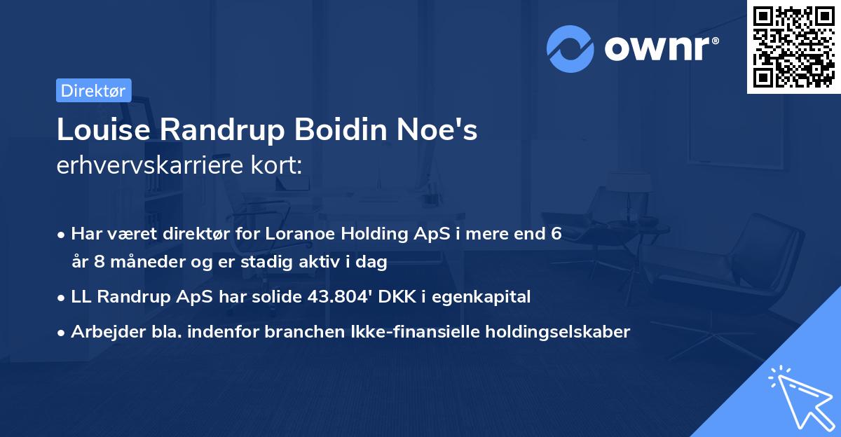 Louise Randrup Boidin Noe's erhvervskarriere kort