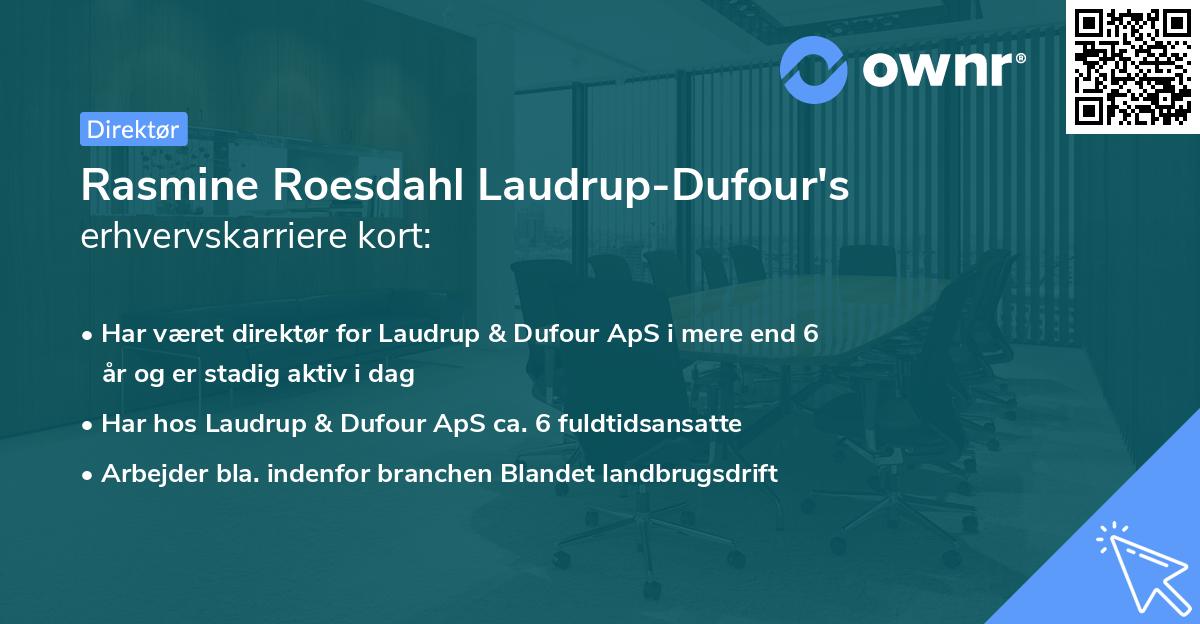 Rasmine Roesdahl Laudrup-Dufour's erhvervskarriere kort