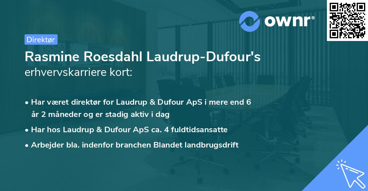 Rasmine Roesdahl Laudrup-Dufour's erhvervskarriere kort