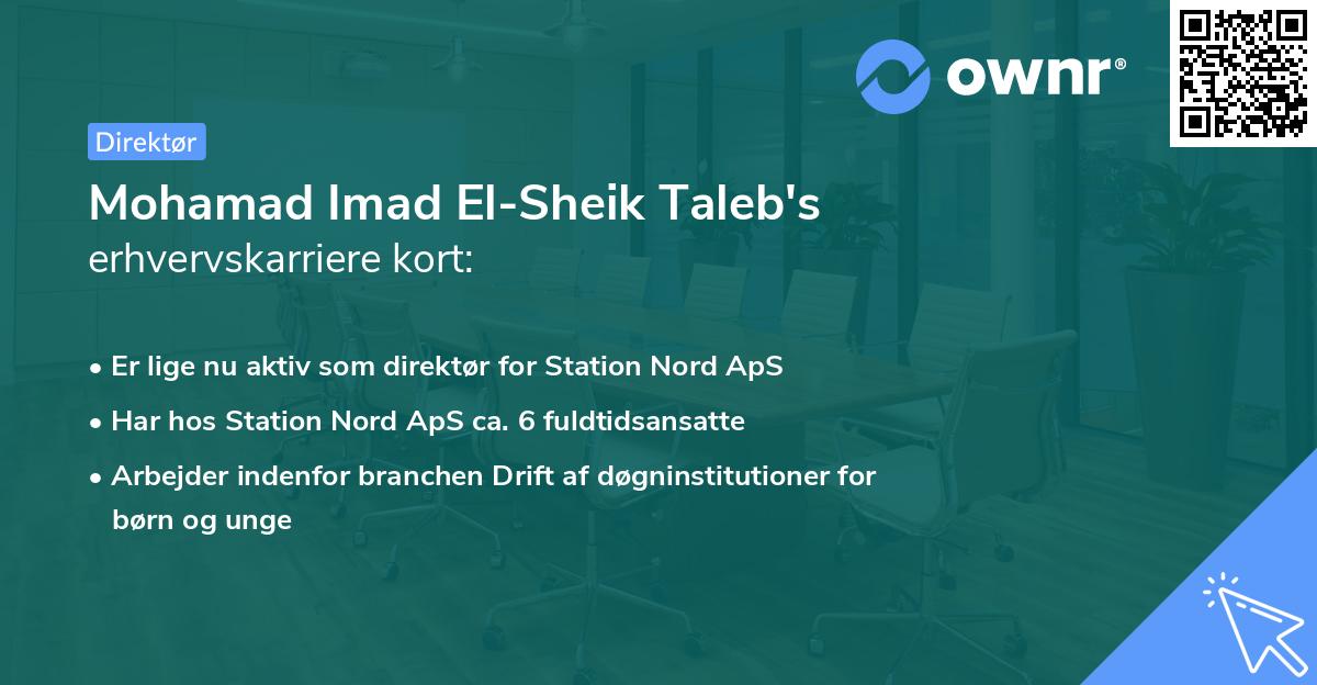 Mohamad Imad El-Sheik Taleb's erhvervskarriere kort