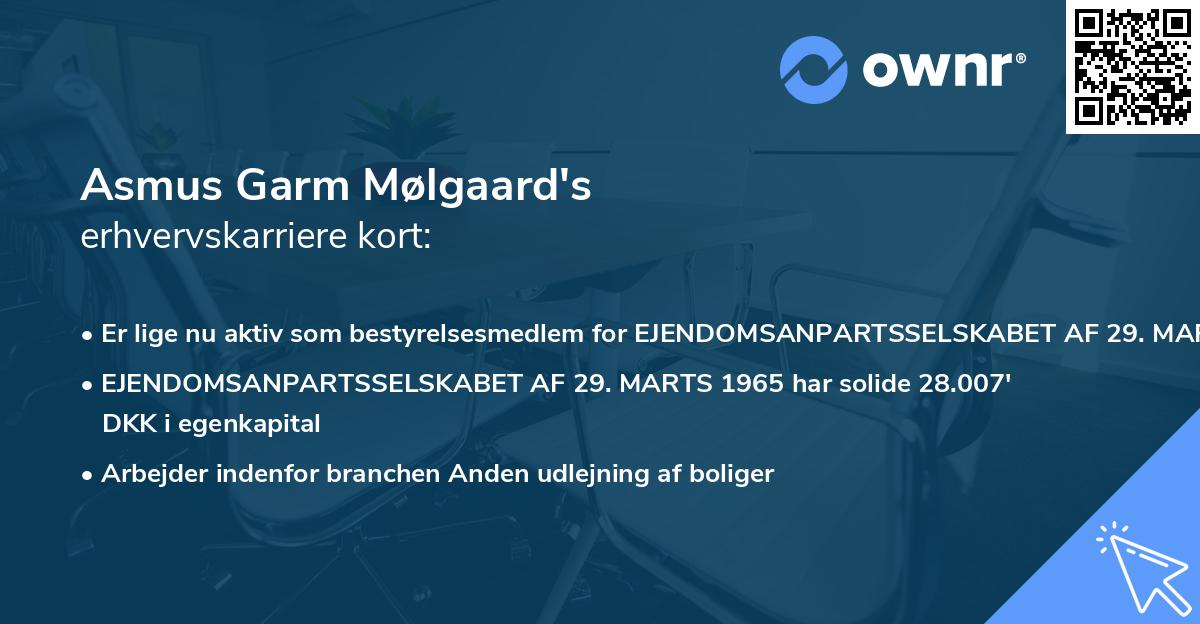 Asmus Garm Mølgaard's erhvervskarriere kort