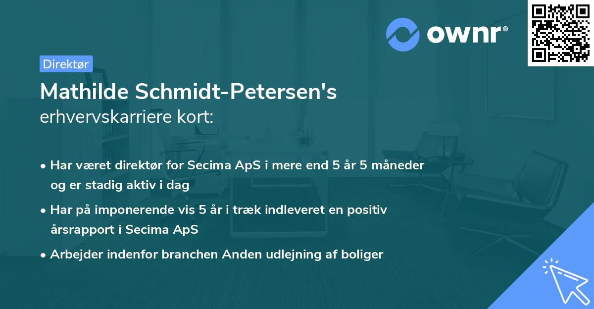 Mathilde Schmidt-Petersen's erhvervskarriere kort