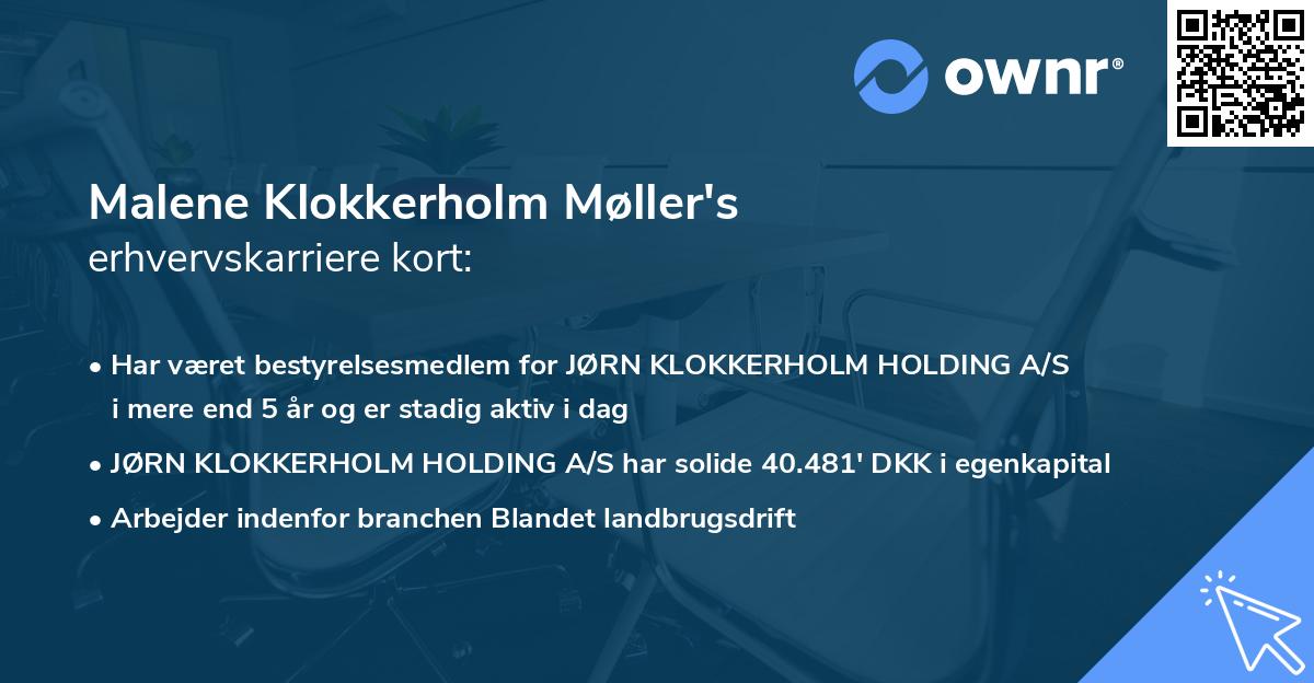 Malene Klokkerholm Møller's erhvervskarriere kort