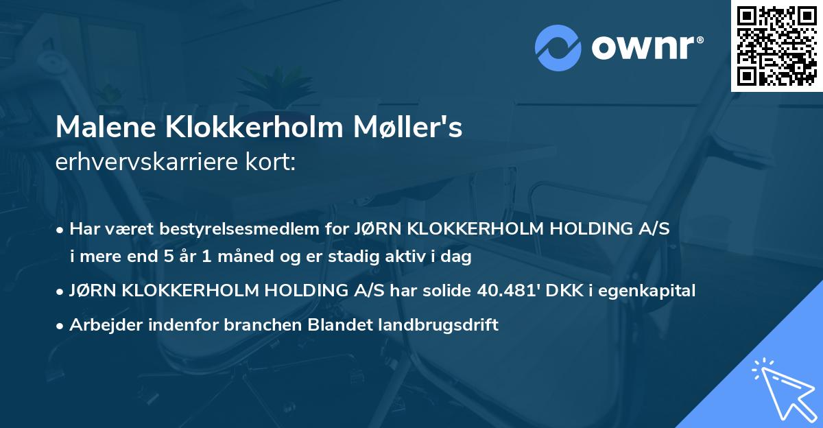Malene Klokkerholm Møller's erhvervskarriere kort