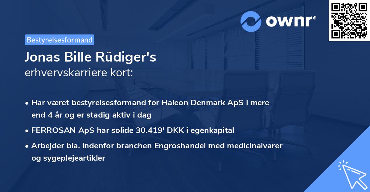 Jonas Bille Rüdiger's erhvervskarriere kort