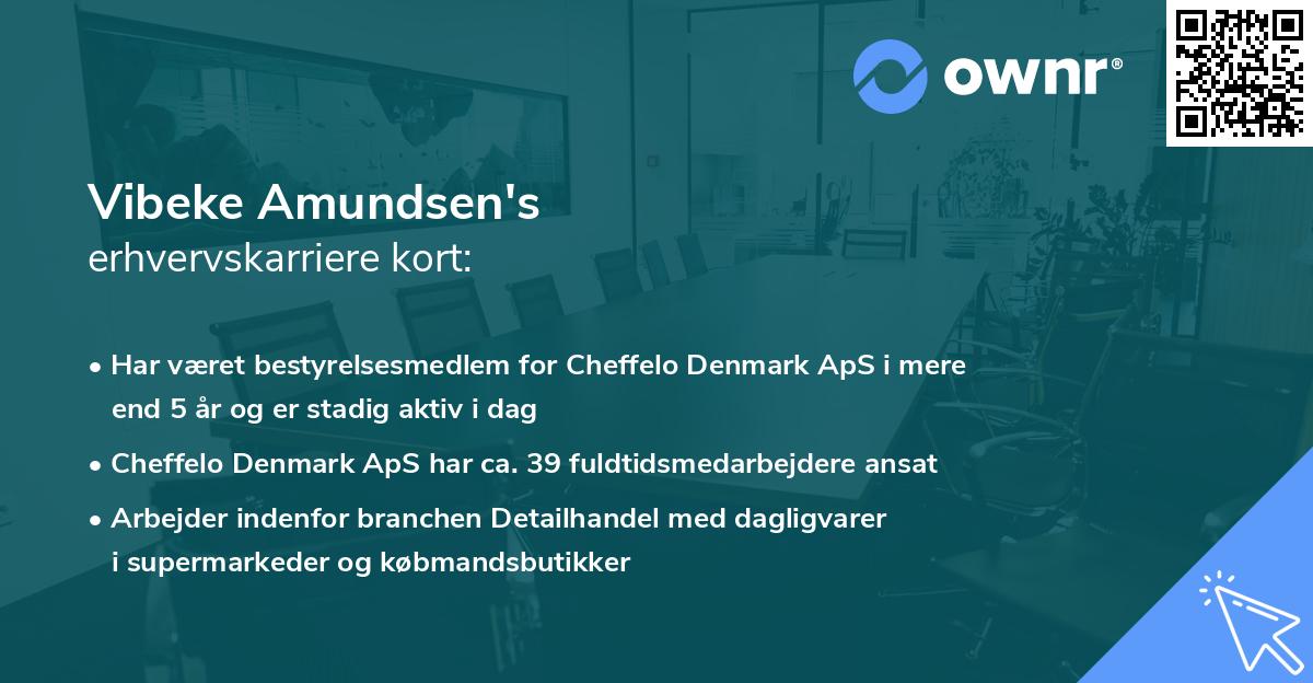 Vibeke Amundsen's erhvervskarriere kort