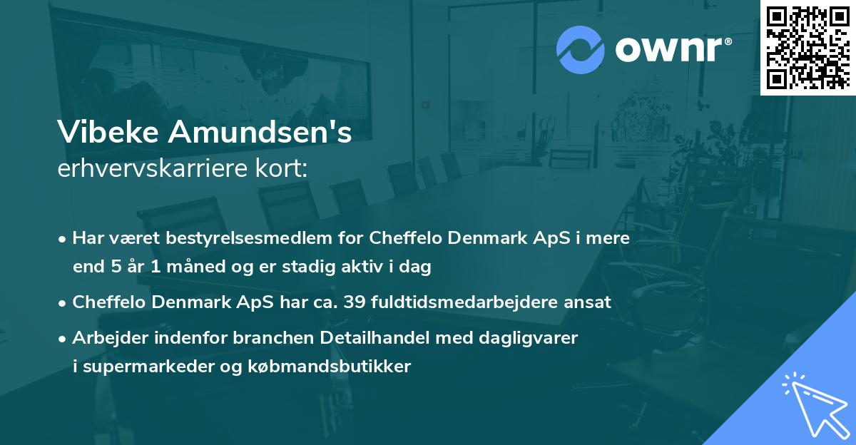 Vibeke Amundsen's erhvervskarriere kort