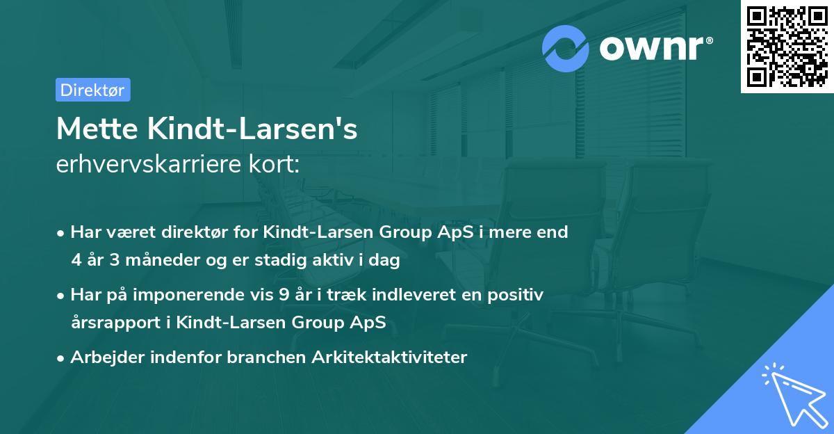 Mette Kindt-Larsen's erhvervskarriere kort