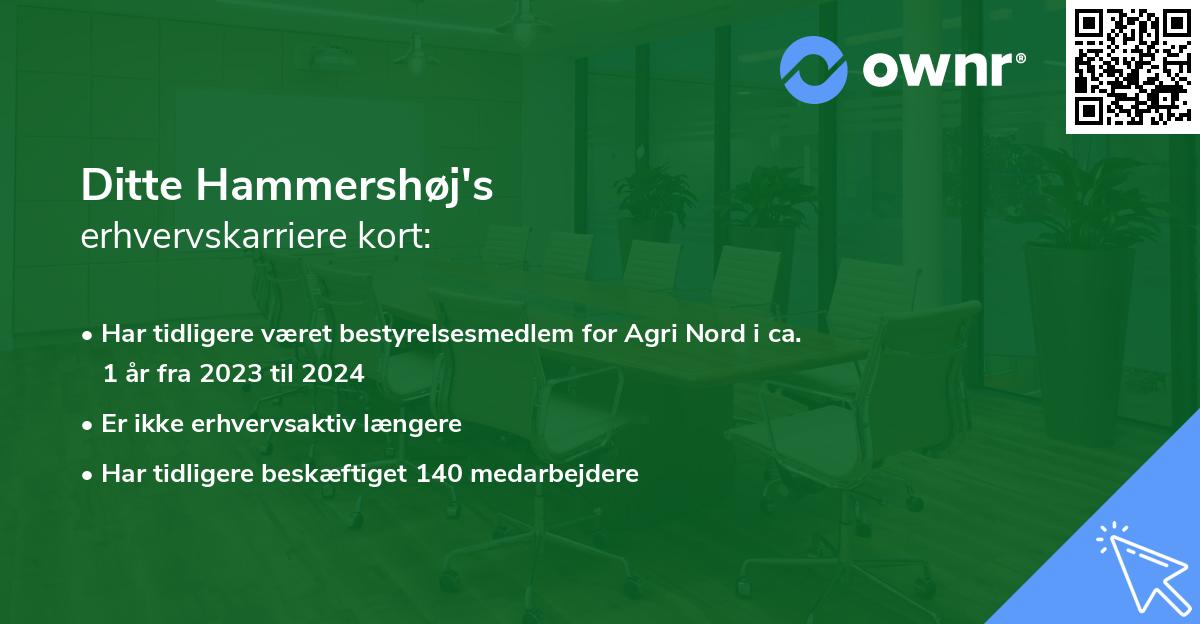 Ditte Hammershøj's erhvervskarriere kort