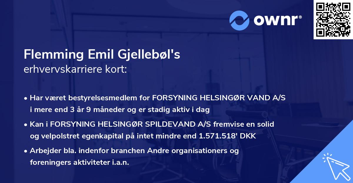 Flemming Emil Gjellebøl's erhvervskarriere kort
