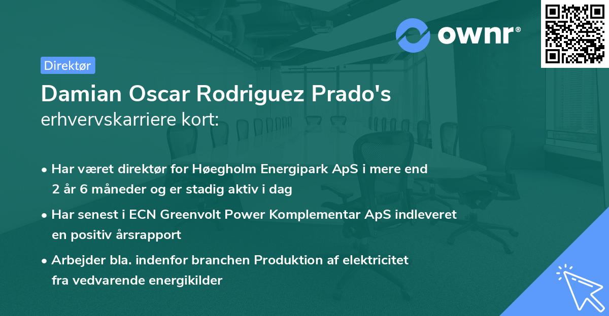 Damian Oscar Rodriguez Prado's erhvervskarriere kort