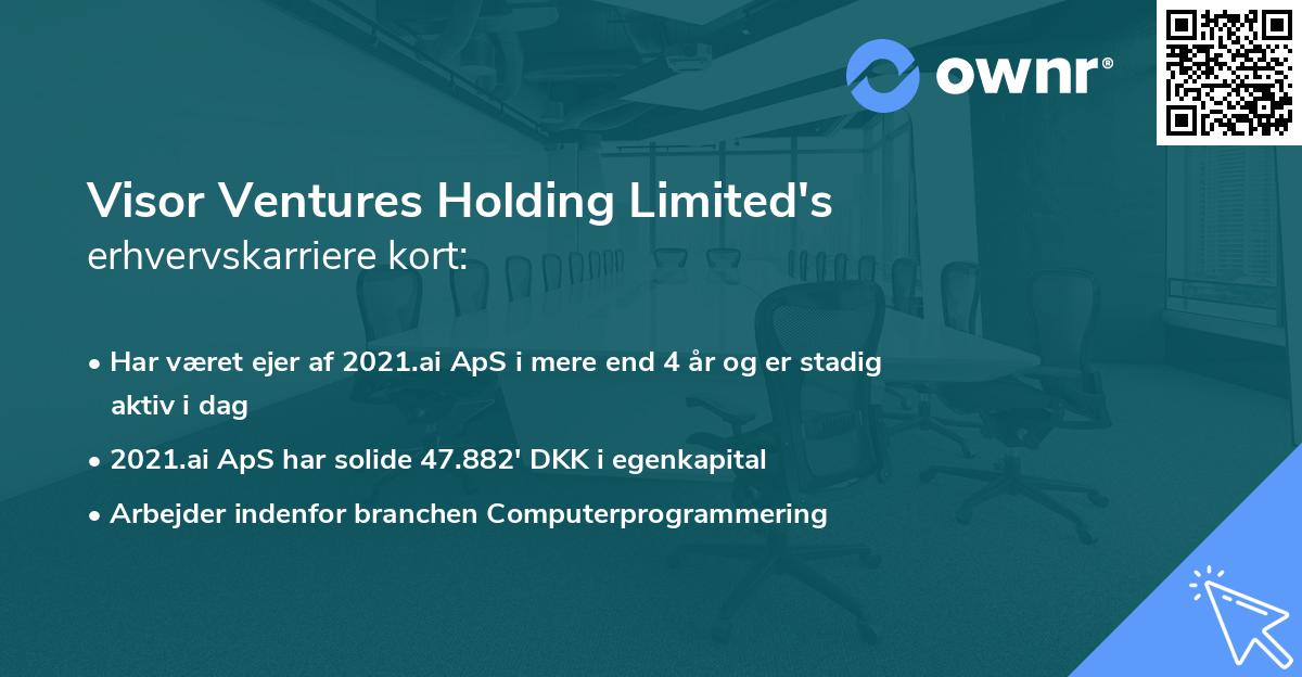 Visor Ventures Holding Limited's erhvervskarriere kort