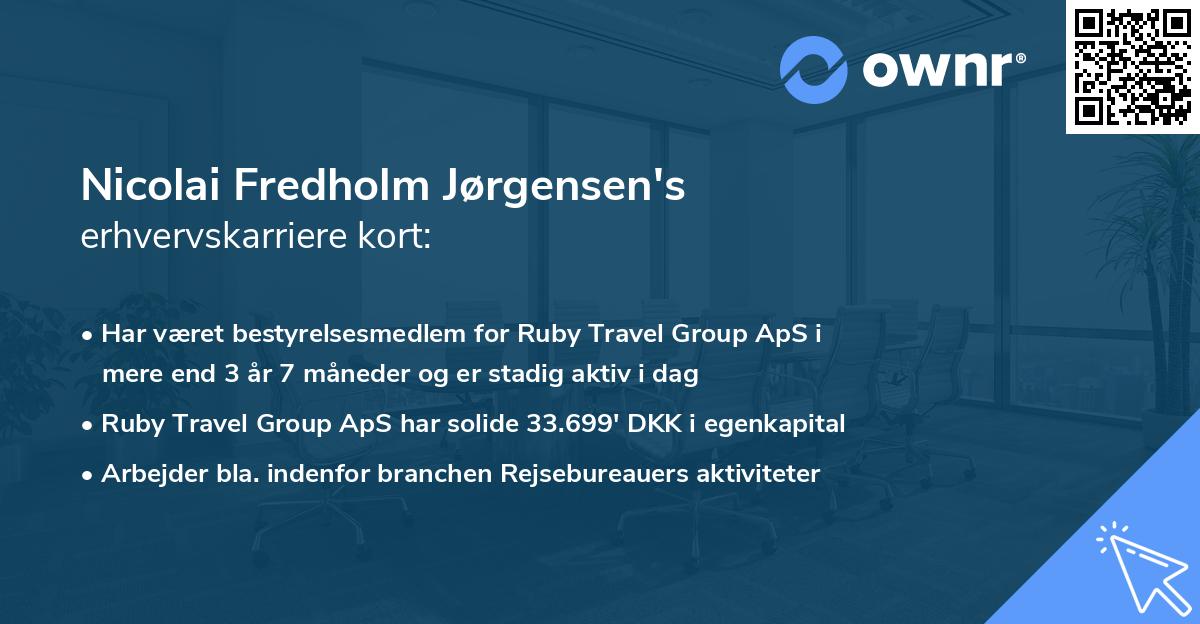 Nicolai Fredholm Jørgensen's erhvervskarriere kort