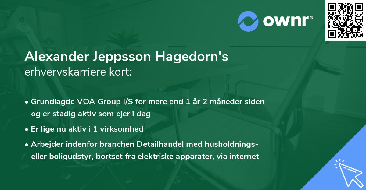 Alexander Jeppsson Hagedorn's erhvervskarriere kort
