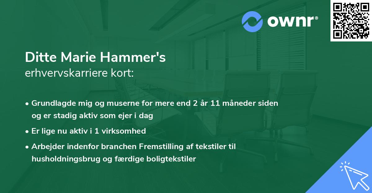Ditte Marie Hammer's erhvervskarriere kort