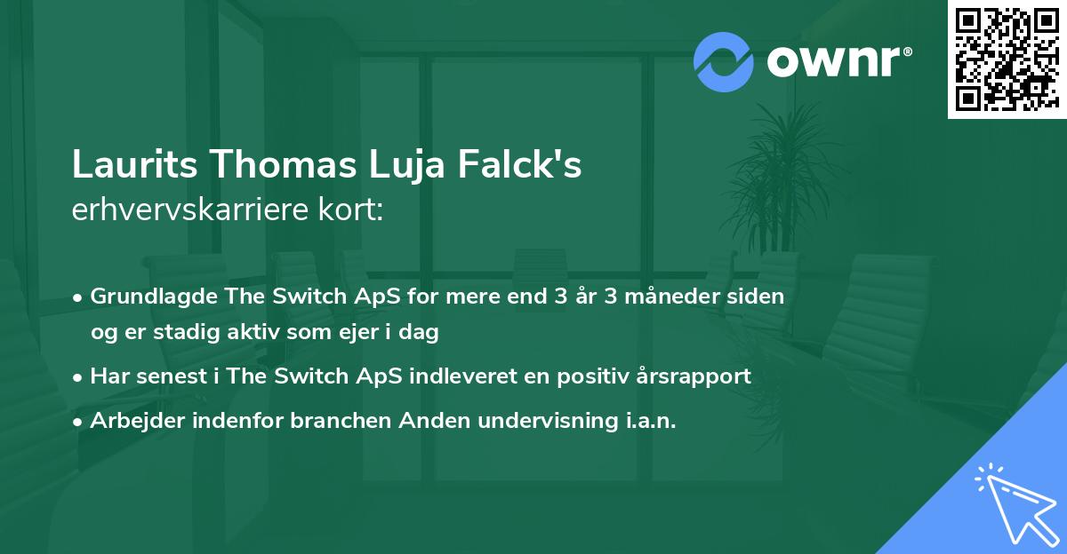 Laurits Thomas Luja Falck's erhvervskarriere kort