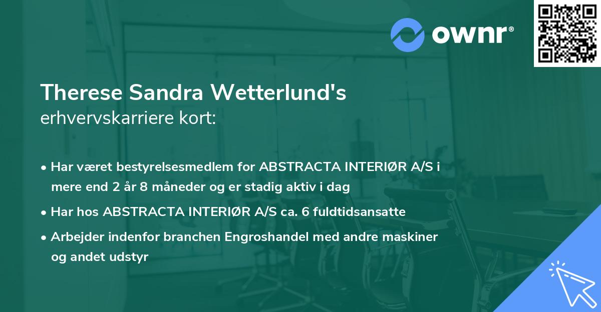 Therese Sandra Wetterlund's erhvervskarriere kort