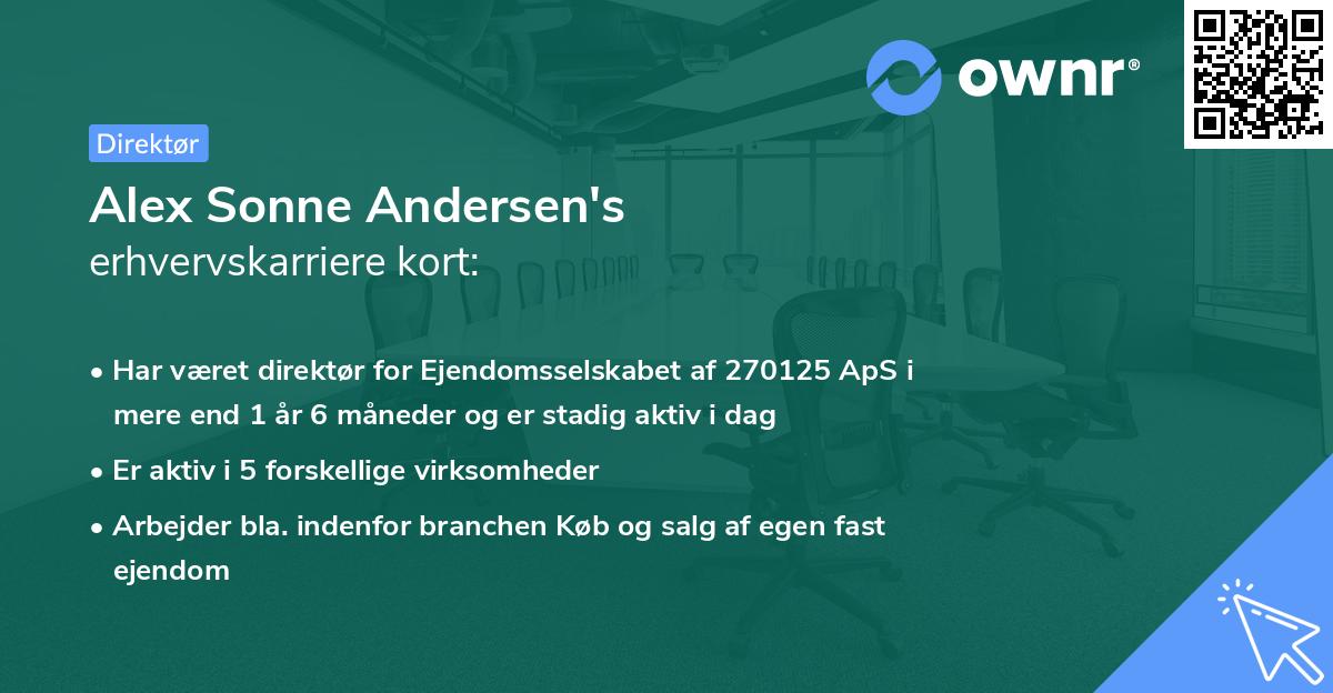 Alex Sonne Andersen's erhvervskarriere kort