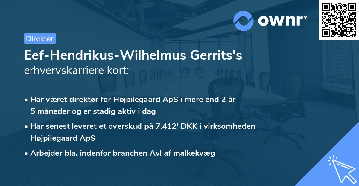 Eef-Hendrikus-Wilhelmus Gerrits's erhvervskarriere kort