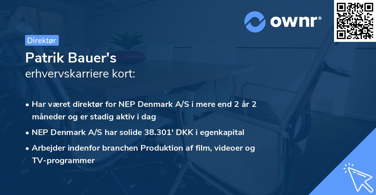 Patrik Bauer's erhvervskarriere kort