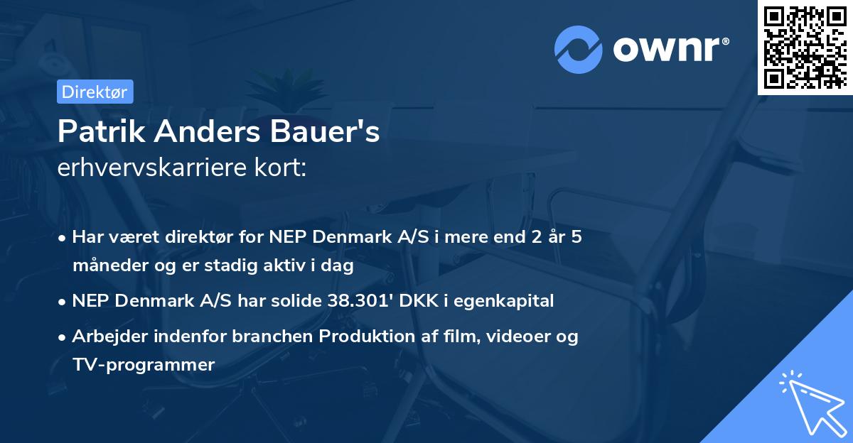 Patrik Anders Bauer's erhvervskarriere kort