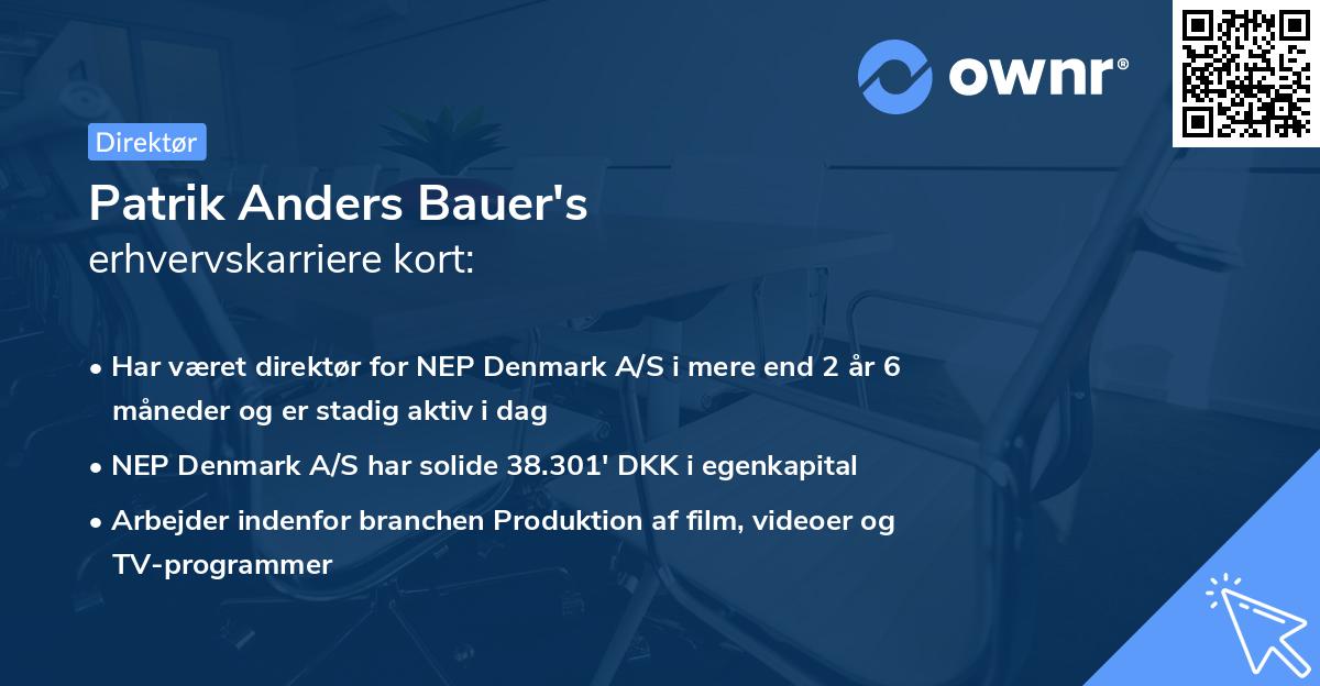 Patrik Anders Bauer's erhvervskarriere kort