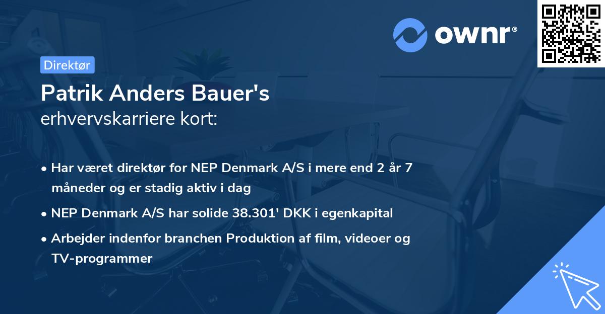 Patrik Anders Bauer's erhvervskarriere kort