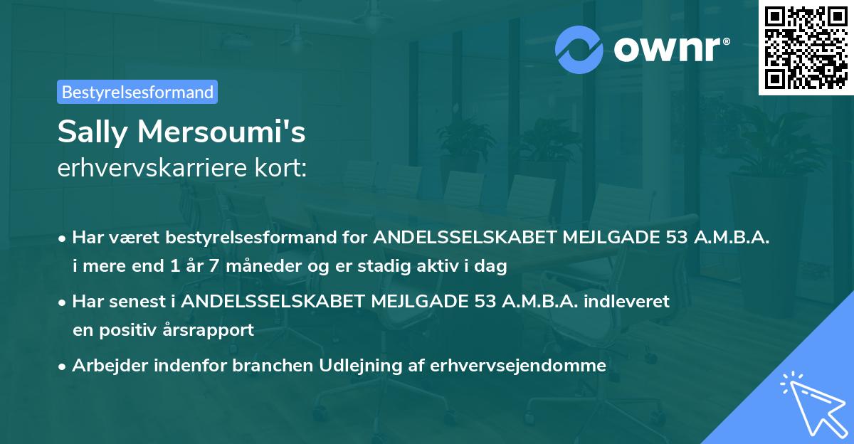 Sally Mersoumi's erhvervskarriere kort