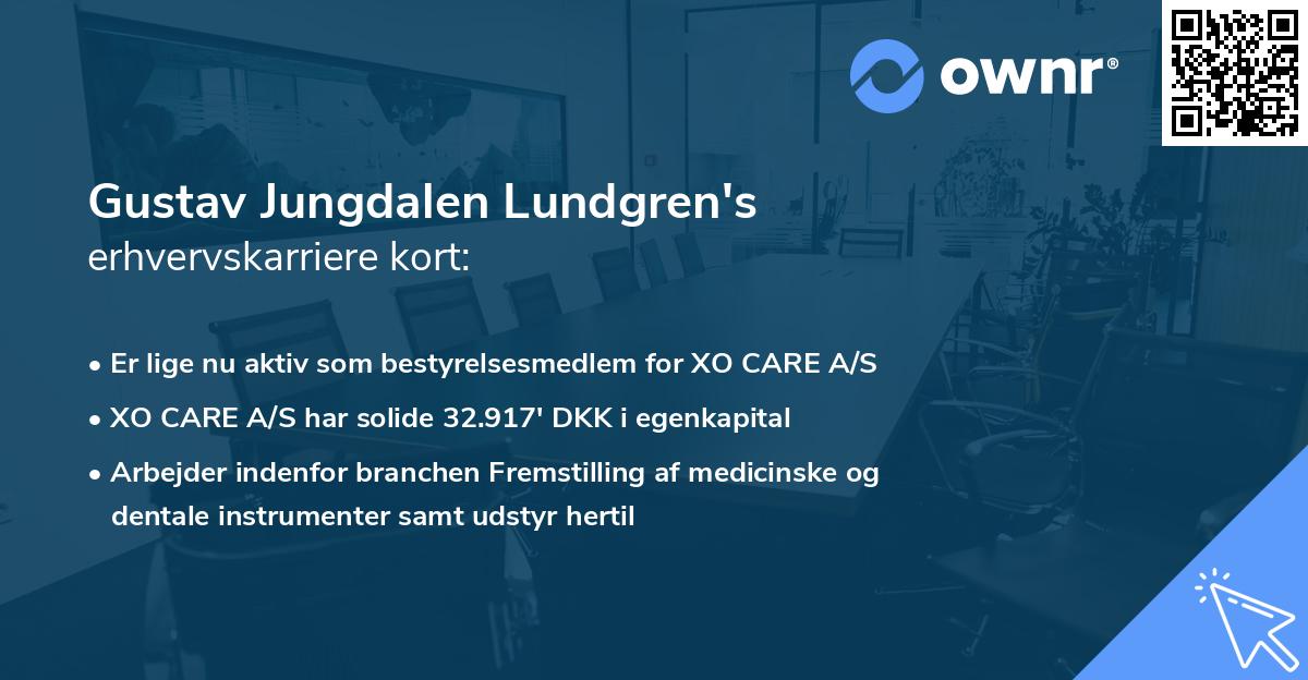 Gustav Jungdalen Lundgren's erhvervskarriere kort