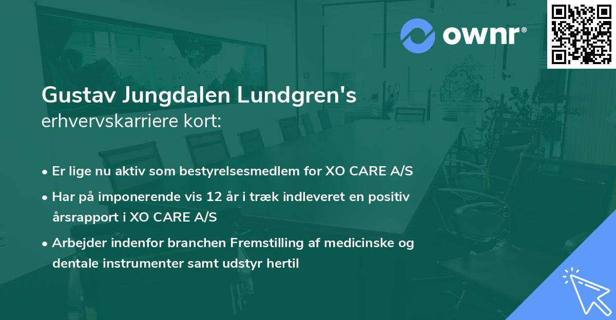 Gustav Jungdalen Lundgren's erhvervskarriere kort