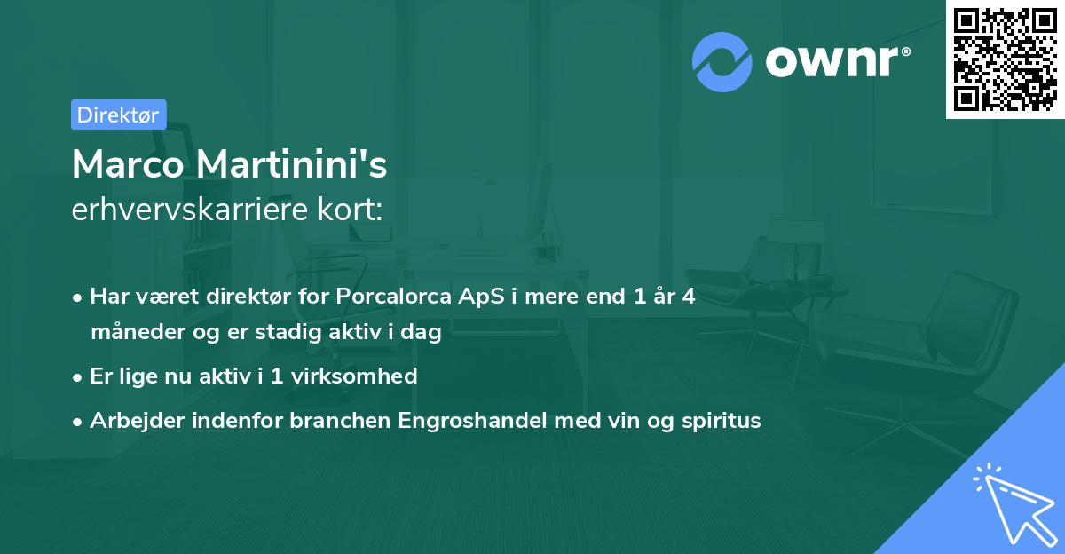 Marco Martinini's erhvervskarriere kort