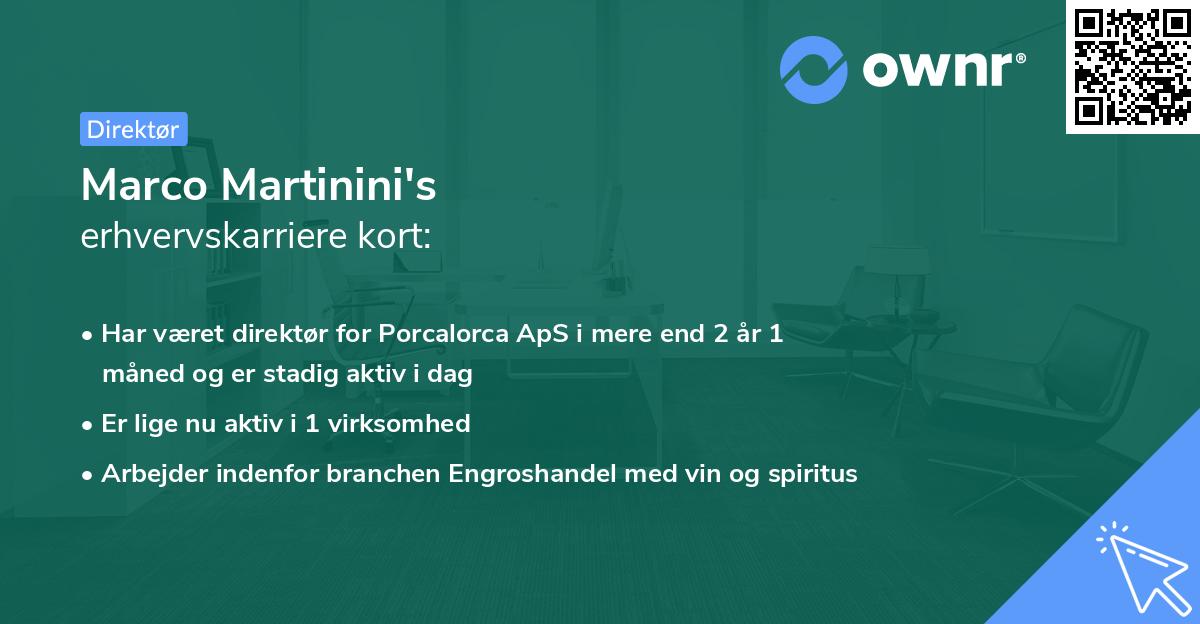 Marco Martinini's erhvervskarriere kort