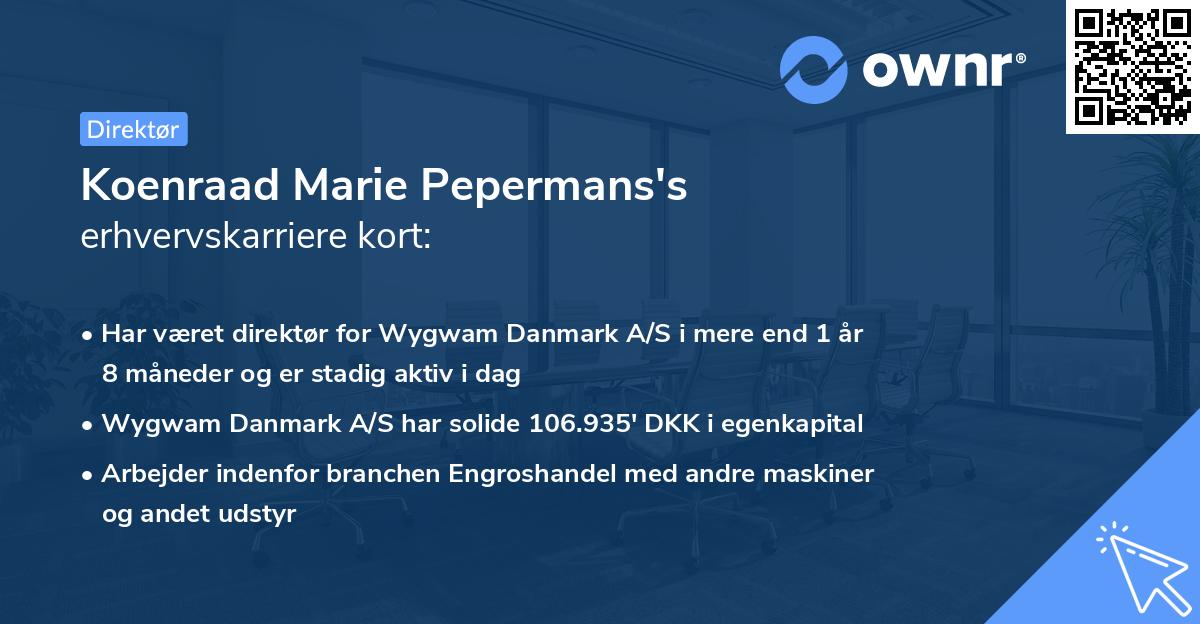 Koenraad Marie Pepermans's erhvervskarriere kort
