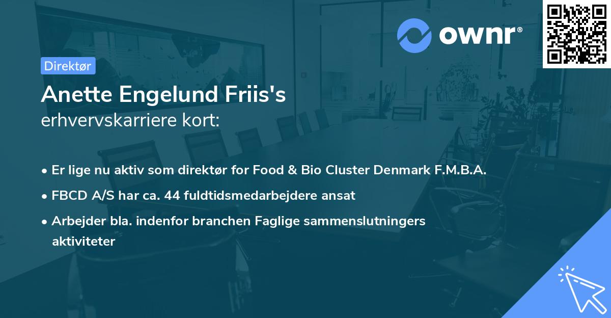 Anette Engelund Friis's erhvervskarriere kort