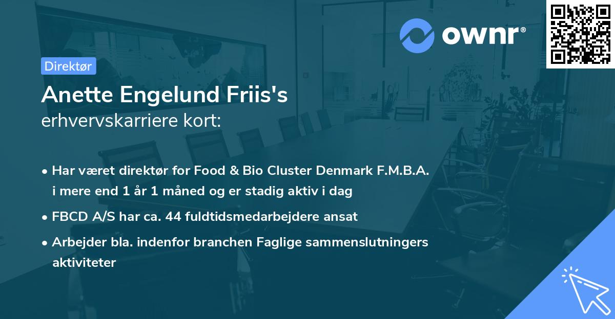 Anette Engelund Friis's erhvervskarriere kort