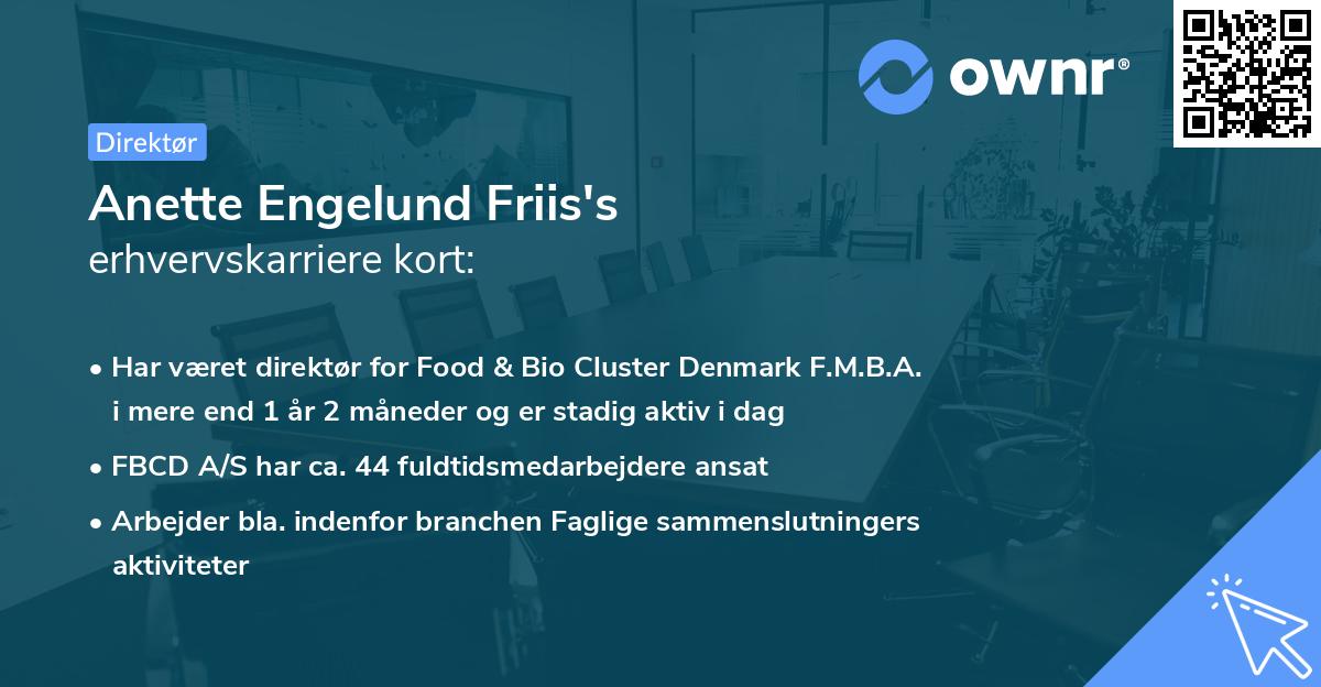 Anette Engelund Friis's erhvervskarriere kort