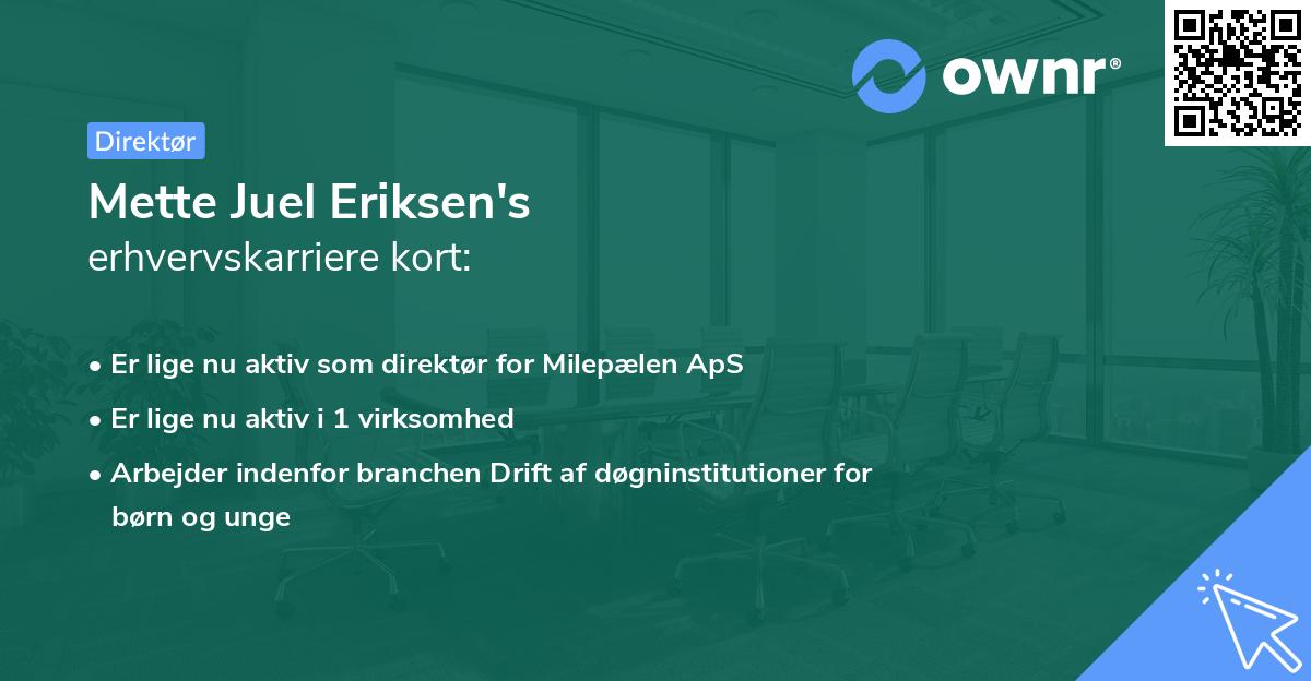 Mette Juel Eriksen's erhvervskarriere kort